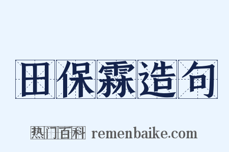 田保霖造句是什么意思的图片